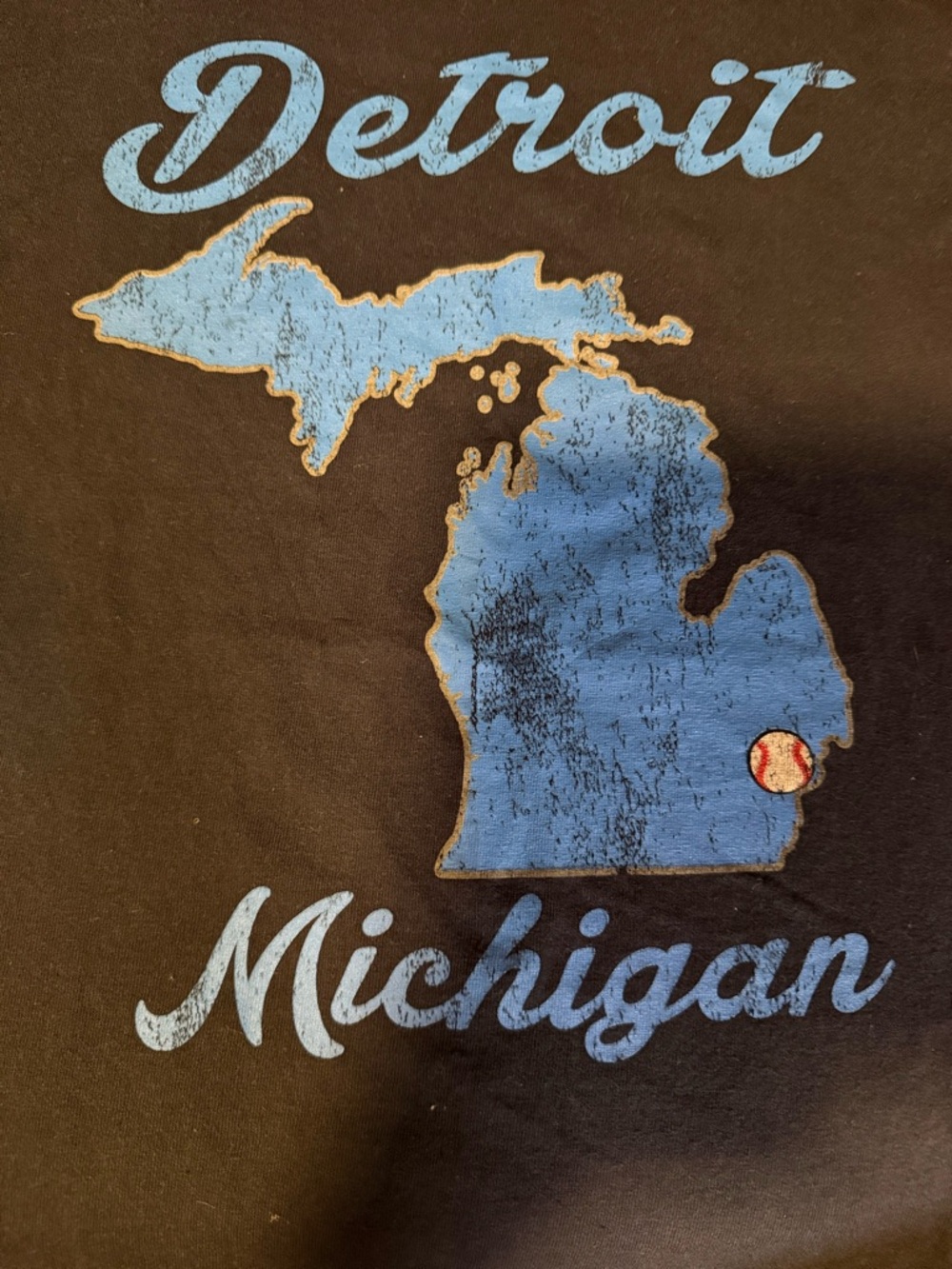 Gildan Black T‑Shirt with Light Blue Michigan Detroit Graphic